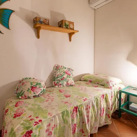 Apartment Villetta Elena San Teodoro Coda Cavallo Capo Coda Cavallo